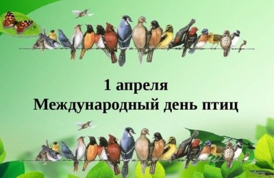 «Международный день птиц» — экологический праздник, отмечающийся ежегодно в день 1 апреля.