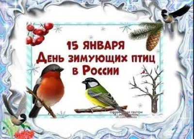 15 января в России отмечается День зимующих птиц.